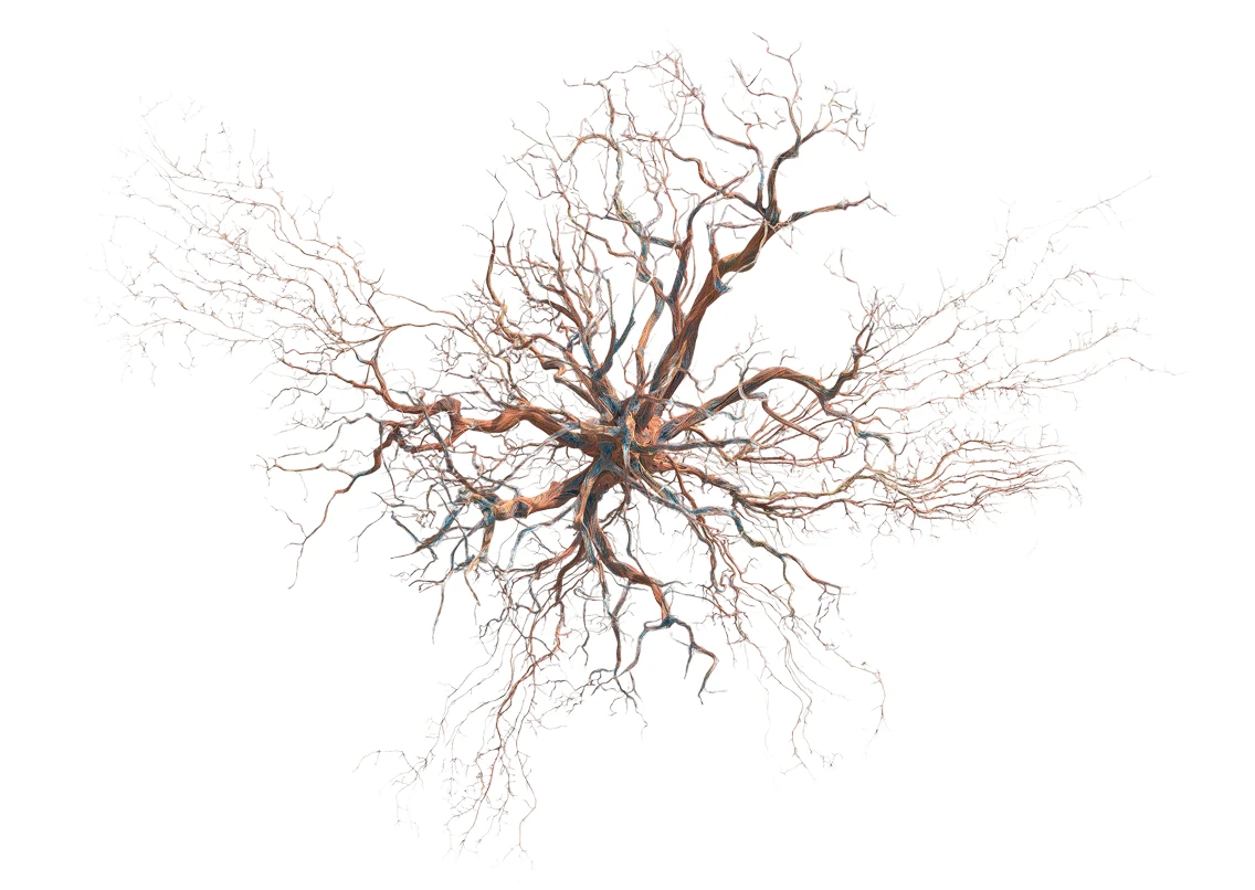 Science Behind List 1