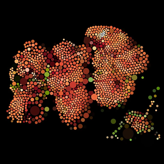 Symbionts of the Oak