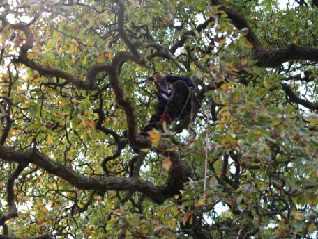 Science Behind List 1