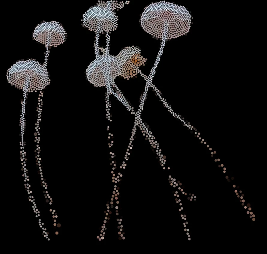 Symbionts of the Oak