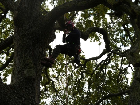 Science Behind List 1