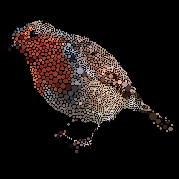 Symbionts of the Oak