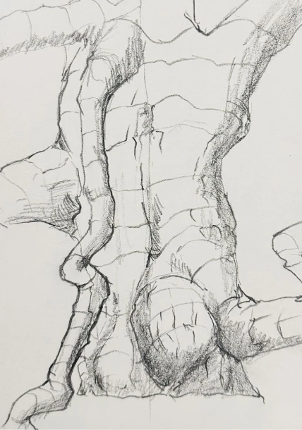 Science Behind List 1