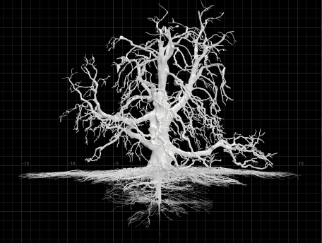 Science Behind List 1