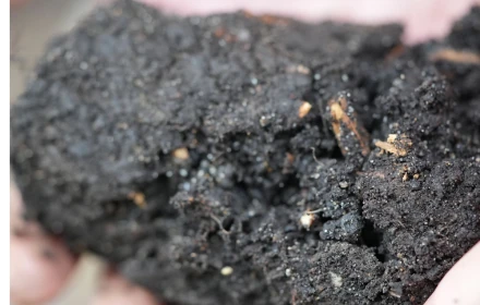 Science Behind List 1