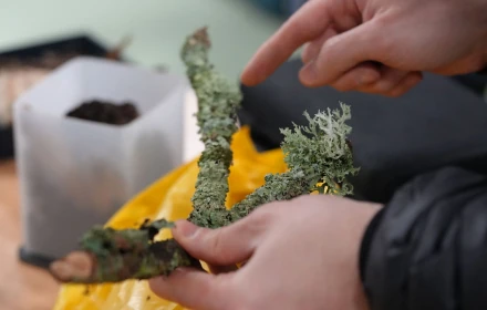 Science Behind List 1