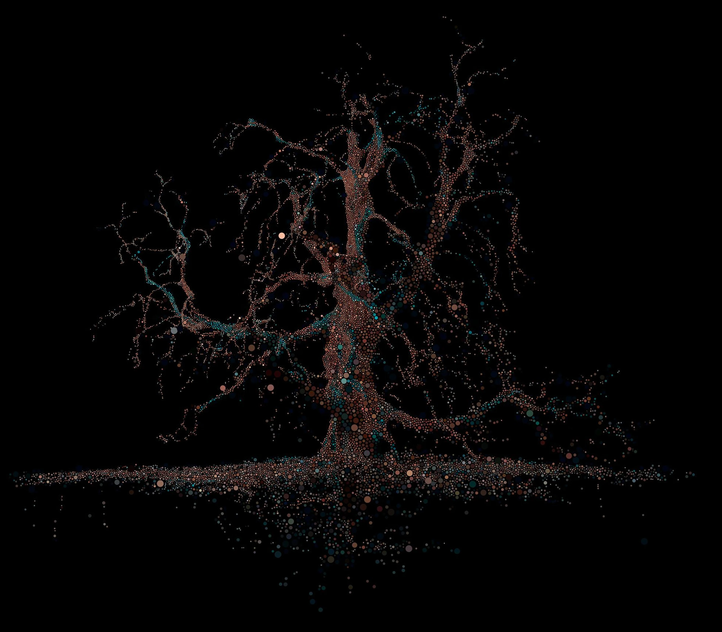 Symbionts of the Oak