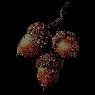 Symbionts of the Oak