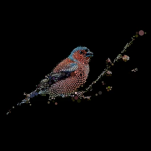 Symbionts of the Oak