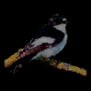 Symbionts of the Oak